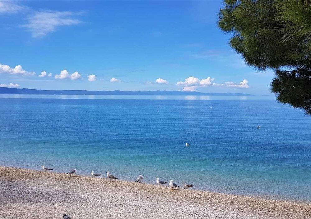Apartmani Mirona - Tučepi Esterno foto