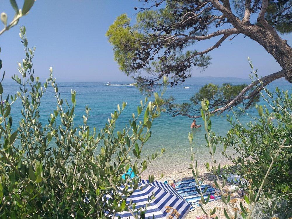 Apartmani Mirona - Tučepi Esterno foto