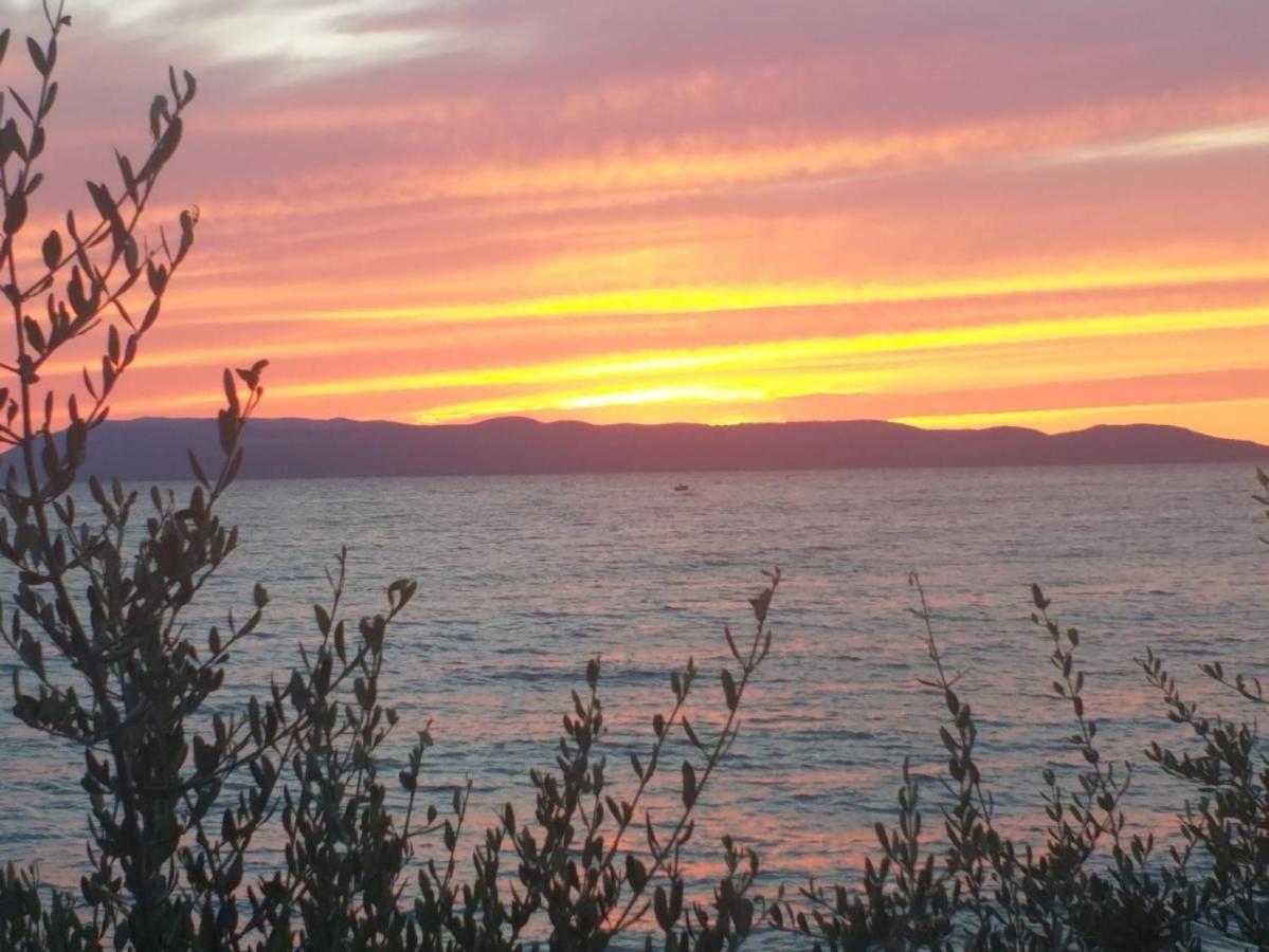 Apartmani Mirona - Tučepi Esterno foto