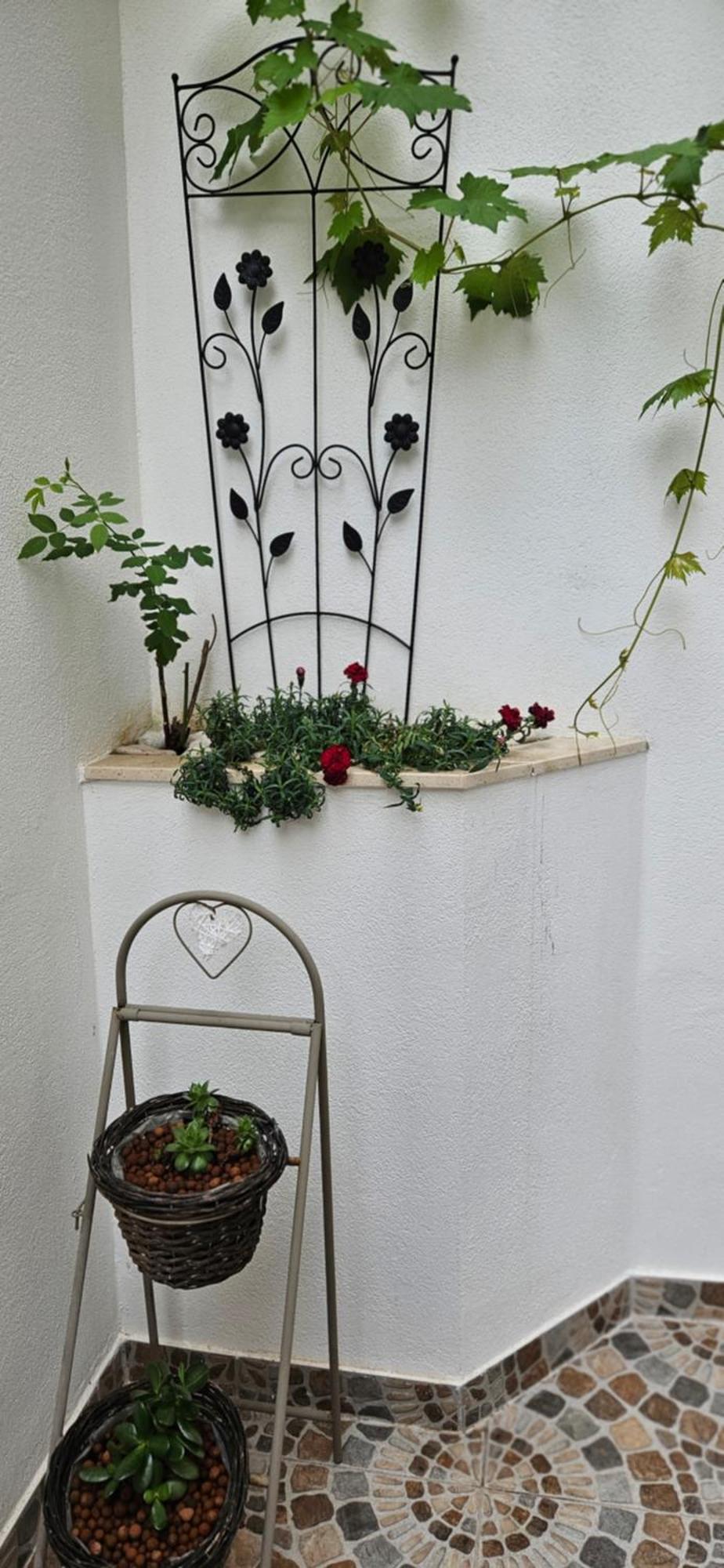 Apartmani Mirona - Tučepi Esterno foto