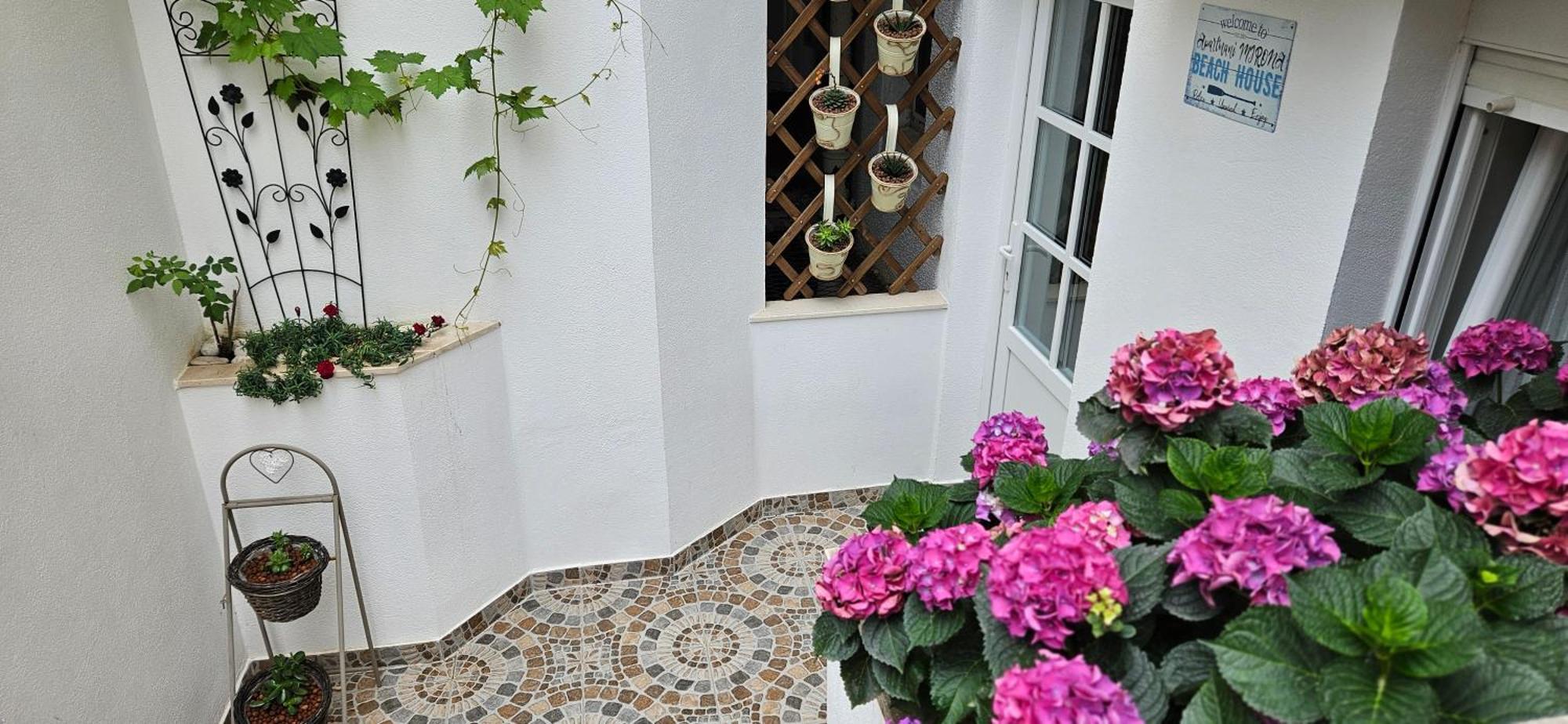 Apartmani Mirona - Tučepi Esterno foto