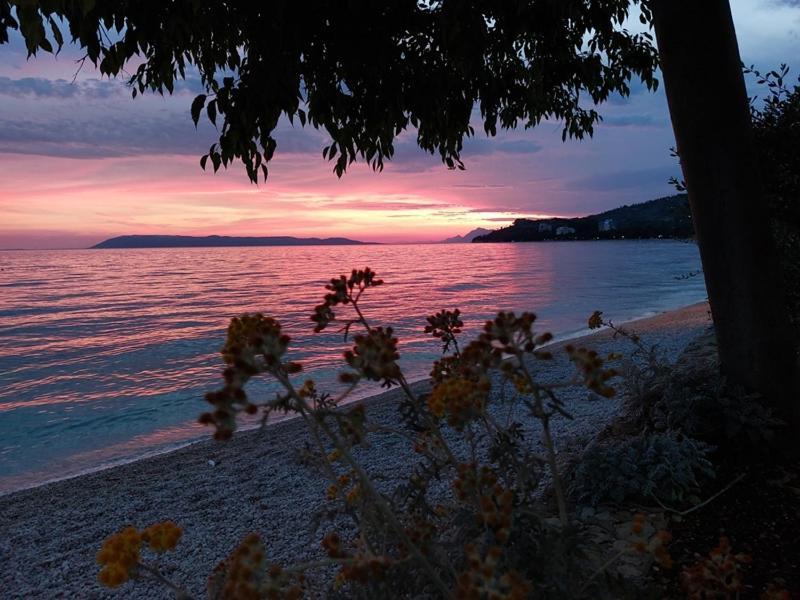 Apartmani Mirona - Tučepi Esterno foto